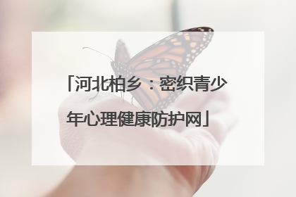 河北柏乡：密织青少年心理健康防护网