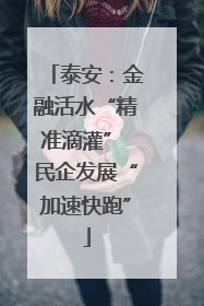 泰安：金融活水“精准滴灌” 民企发展“加速快跑”