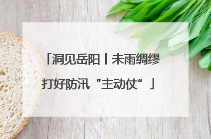 洞见岳阳丨未雨绸缪 打好防汛“主动仗”
