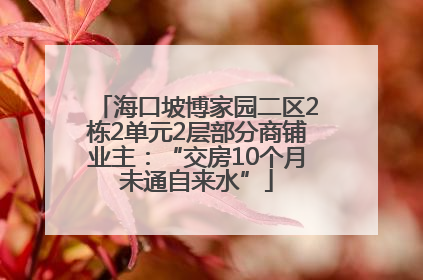 海口坡博家园二区2栋2单元2层部分商铺业主：“交房10个月未通自来水”