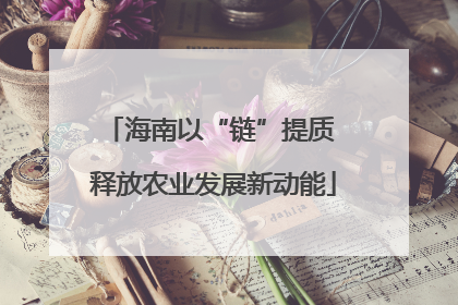 海南以“链”提质 释放农业发展新动能