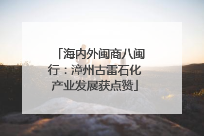 海内外闽商八闽行：漳州古雷石化产业发展获点赞