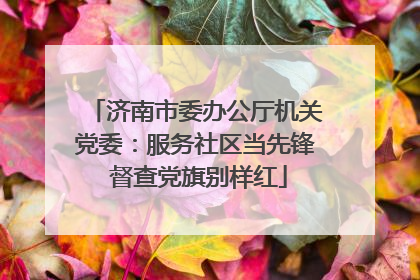 济南市委办公厅机关党委：服务社区当先锋 督查党旗别样红