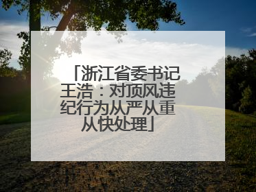 浙江省委书记王浩：对顶风违纪行为从严从重从快处理