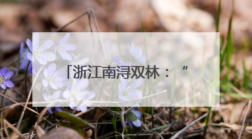 浙江南浔双林：“灵动教育”多方开展 点亮成长之路