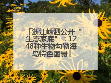 浙江嵊泗公开“生态家底”：1248种生物勾勒海岛特色图景