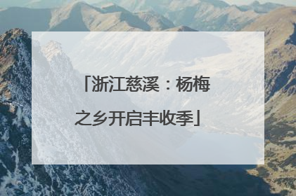 浙江慈溪：杨梅之乡开启丰收季
