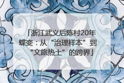浙江武义后陈村20年蝶变：从“治理样本”到“文旅热土”的跨界