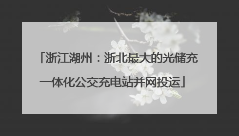 浙江湖州：浙北最大的光储充一体化公交充电站并网投运