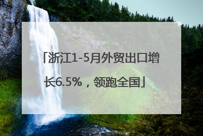 浙江1-5月外贸出口增长6.5%，领跑全国