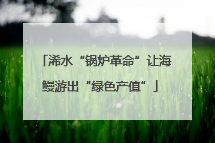 浠水“锅炉革命”让海鳗游出“绿色产值”