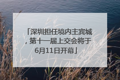深圳担任境内主宾城，第十一届上交会将于6月11日开幕