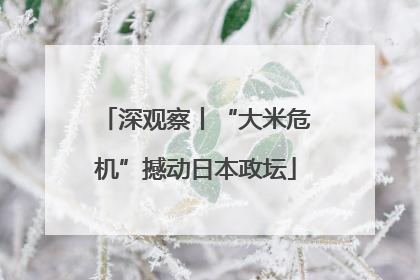 深观察丨“大米危机”撼动日本政坛
