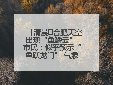 清晨﻿合肥天空出现“鱼鳞云” 市民：似乎预示“鱼跃龙门” 气象专家科普