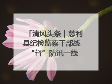 清风头条｜慈利县纪检监察干部战“督”防汛一线 守护群众利益
