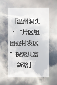 温州洞头：“片区组团强村发展”探索共富新路