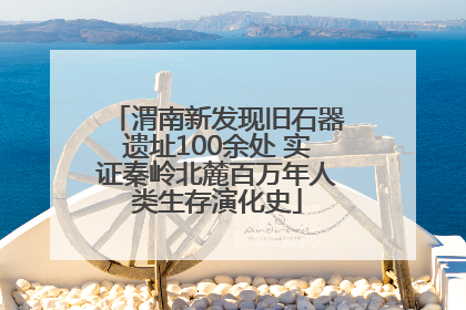 渭南新发现旧石器遗址100余处 实证秦岭北麓百万年人类生存演化史