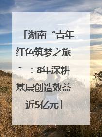 湖南“青年红色筑梦之旅”：8年深耕基层创造效益近5亿元