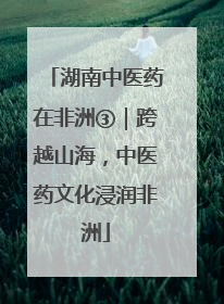 湖南中医药在非洲③｜跨越山海，中医药文化浸润非洲