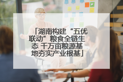 湖南构建“五优联动”粮食全链生态 千万亩粮源基地夯实产业根基