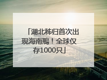 湖北秭归首次出现海南鳽！全球仅存1000只