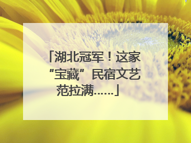 湖北冠军！这家“宝藏”民宿文艺范拉满……