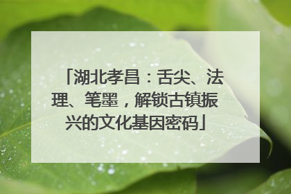 湖北孝昌：舌尖、法理、笔墨，解锁古镇振兴的文化基因密码