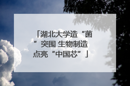 湖北大学造“菌”突围 生物制造点亮“中国芯”