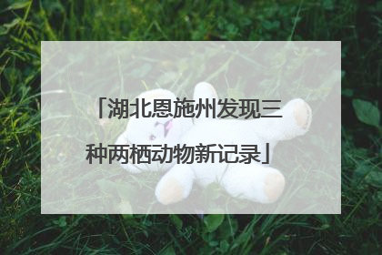湖北恩施州发现三种两栖动物新记录