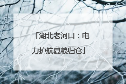 湖北老河口：电力护航夏粮归仓