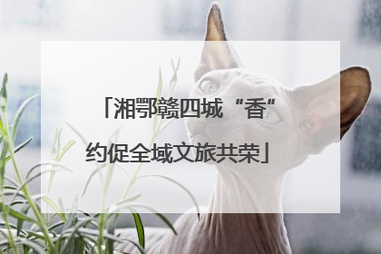 湘鄂赣四城“香”约促全域文旅共荣