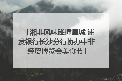 湘非风味碰撞星城 浦发银行长沙分行协办中非经贸博览会美食节