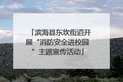滨海县东坎街道开展“消防安全进校园”主题宣传活动