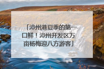 漳州港夏季的第一口鲜！漳州开发区万亩杨梅迎八方游客