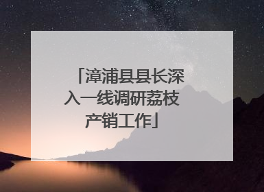 漳浦县县长深入一线调研荔枝产销工作
