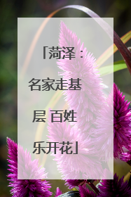菏泽：名家走基层 百姓乐开花