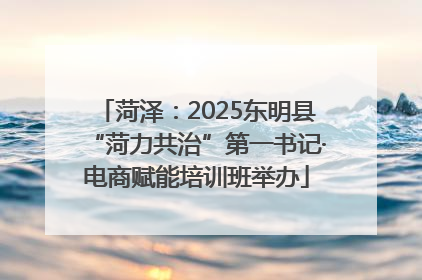 菏泽：2025东明县“菏力共治”第一书记·电商赋能培训班举办
