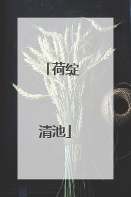 荷绽清池
