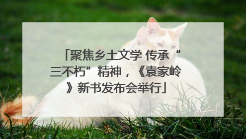 聚焦乡土文学 传承“三不朽”精神，《袁家岭》新书发布会举行