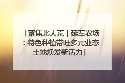 聚焦北大荒｜延军农场：特色种植带旺多元业态 土地焕发新活力