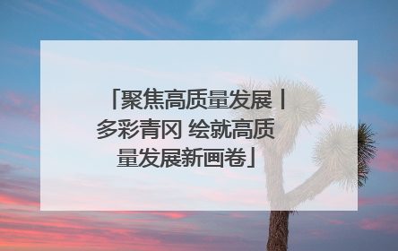 聚焦高质量发展丨多彩青冈 绘就高质量发展新画卷