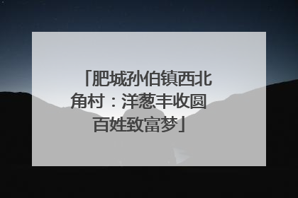 肥城孙伯镇西北角村：洋葱丰收圆百姓致富梦