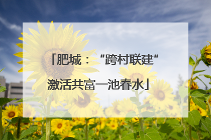 肥城：“跨村联建”激活共富一池春水