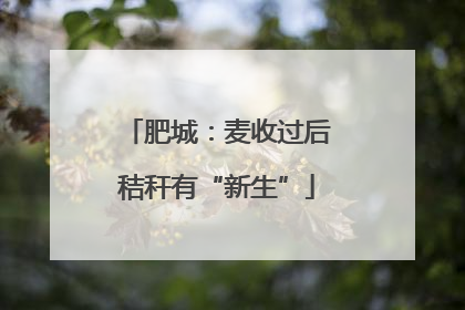 肥城：麦收过后秸秆有“新生”