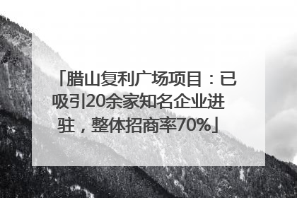腊山复利广场项目：已吸引20余家知名企业进驻，整体招商率70%