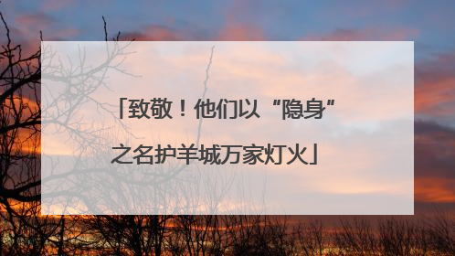 致敬！他们以“隐身”之名护羊城万家灯火