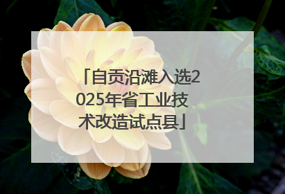 自贡沿滩入选2025年省工业技术改造试点县