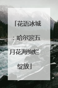 花语冰城：哈尔滨五月花海绚烂绽放