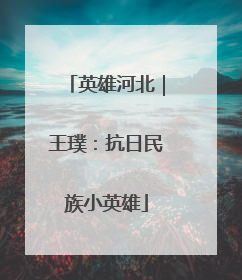 英雄河北｜王璞：抗日民族小英雄
