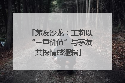 茅友沙龙：王莉以“三重价值”与茅友共探情感逻辑